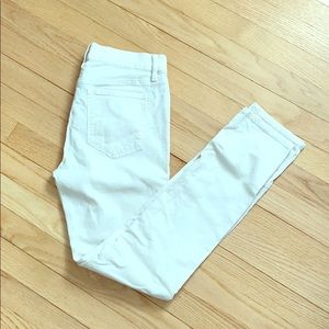 OffWhite/Light Cream Cord LOFT skinny pant